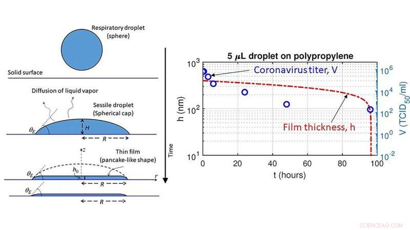 COVID-19 Virus Remains Infectious on Surfaces Through Thin Liquid Films