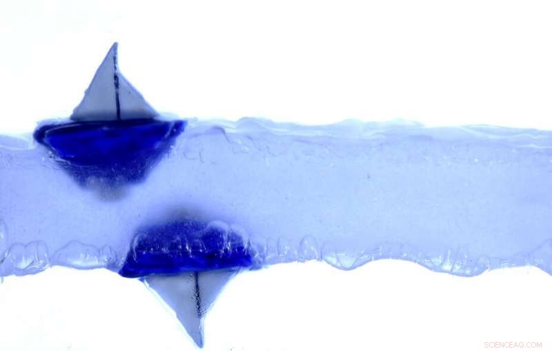 Discover How Boats Float Upside Down: The Science of Anti-Gravity