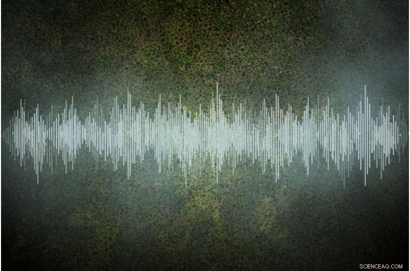 MIT Scientists Record Sound of a Perfect Fluid, Unlocking Neutron Star Insights