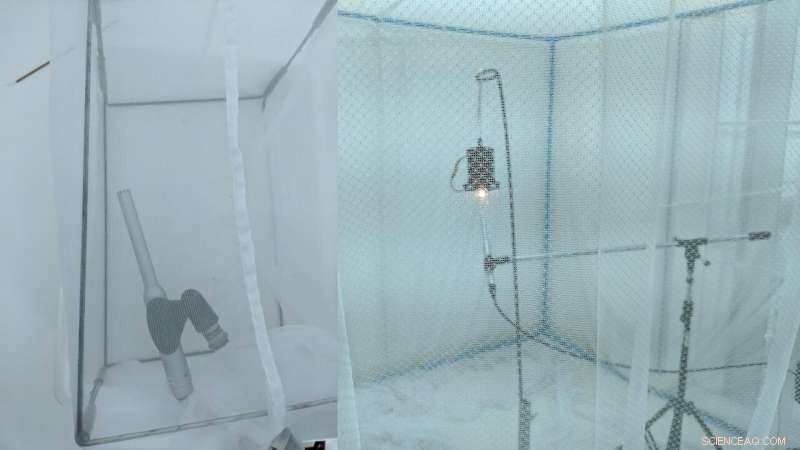 Bioinspired Mosquito Ear Device Enables Species and Sex Identification