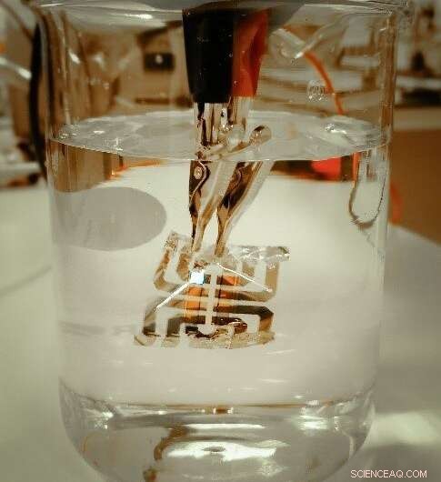 Ultra-Light OLEDs: Pioneering the Future of Digital Displays and Brain-Computer Interfaces