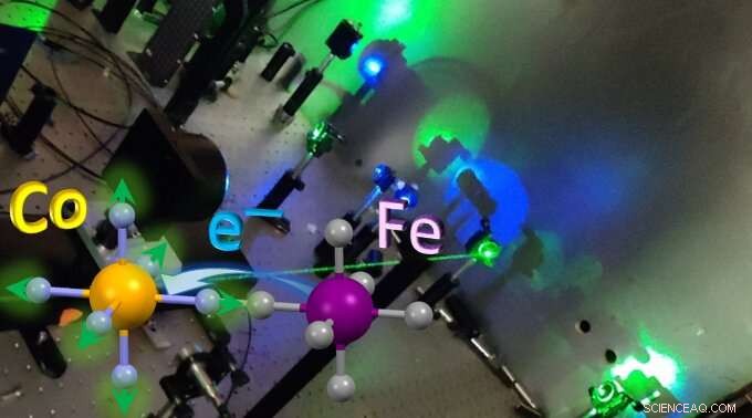 Unveiling Ultrafast Atomic and Electron Dynamics in Photoinduced Transfer