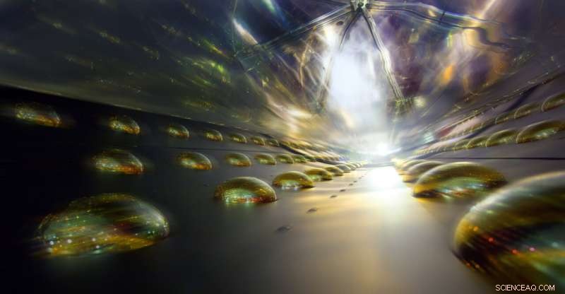 Daya Bay Site Decommissioned: Scientists Advance Final Data Analysis