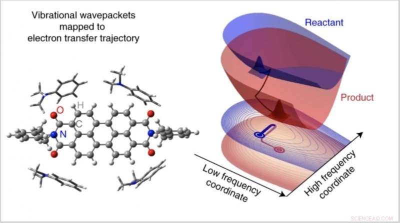 New Study Reveals Quantum Vibrations Drive Electron Transfer Processes