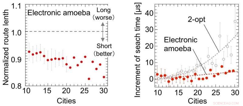 Electronic Amoeba Achieves Linear‑Time Approximation for the Traveling Salesman Problem