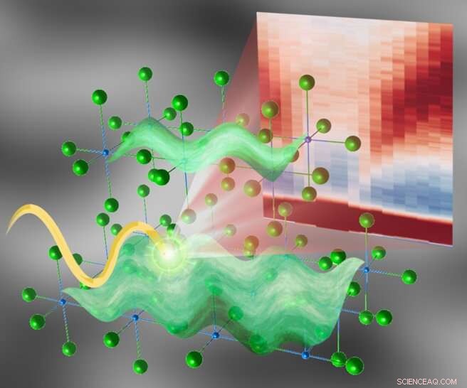Acoustic Plasmons Discovered in Hole-Doped Cuprate Superconductors