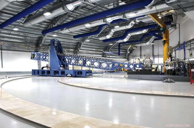 Acoustic Plasmons Discovered in Hole-Doped Cuprate Superconductors