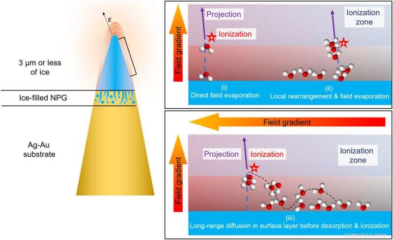 Advanced Near-Atomic-Scale Analysis of Frozen Water Using Atom Probe Tomography