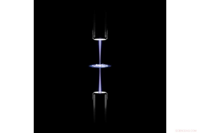 Physicists Observe Emergence of Collective Behavior in Paired Atoms