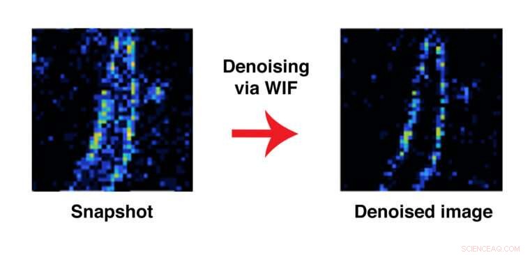 Innovative Computational Technique Validates Image Accuracy Without Ground Truth