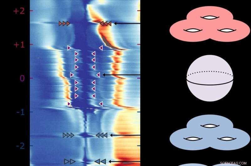 Magic Angle Graphene Unveils Unexpected Topological Quantum States