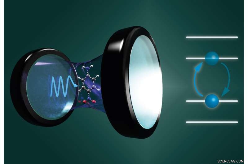 Precise Theoretical Modeling Illuminates Molecular Changes Induced by Quantum Light Interaction