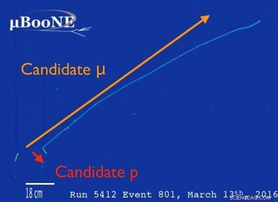 MicroBooNE Achieves First Measurement of Single-Proton Interactions
