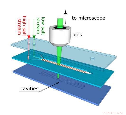 Loughborough Scientists Unveil Rapid Mechanism to Trap Submicron Particles in Minutes