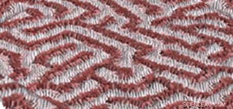 Unraveling the Secrets of Ferroelectric Patterning