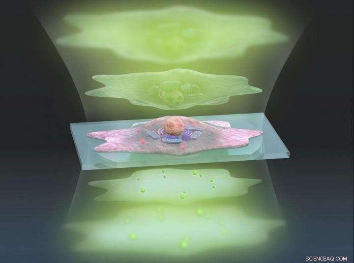 Tokyo Scientists Achieve 7‑Fold Sensitivity Boost in Live‑Cell Microscopy