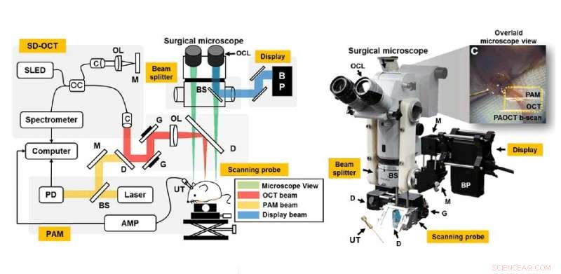The Evolution of Surgical Microscopes: Advancements & Impact