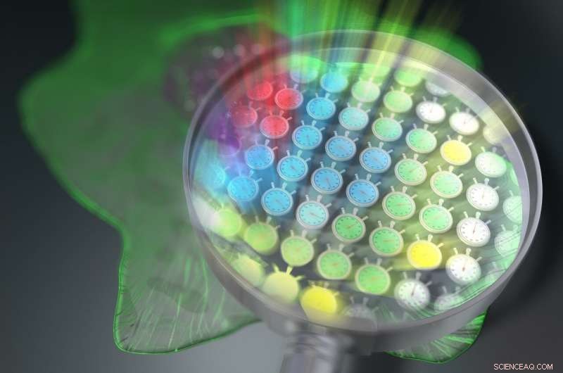 Comb-Enabled Lifetime Imaging: A Breakthrough in Fluorescence Microscopy