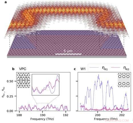 Precise Quantification of Topological Protection in Telecom‑Wavelength Photonic Edge States