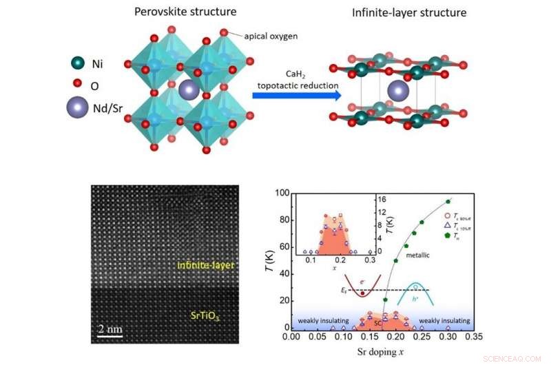 Comprehensive Phase Diagram of Infinite-Layer Nickel Superconductors