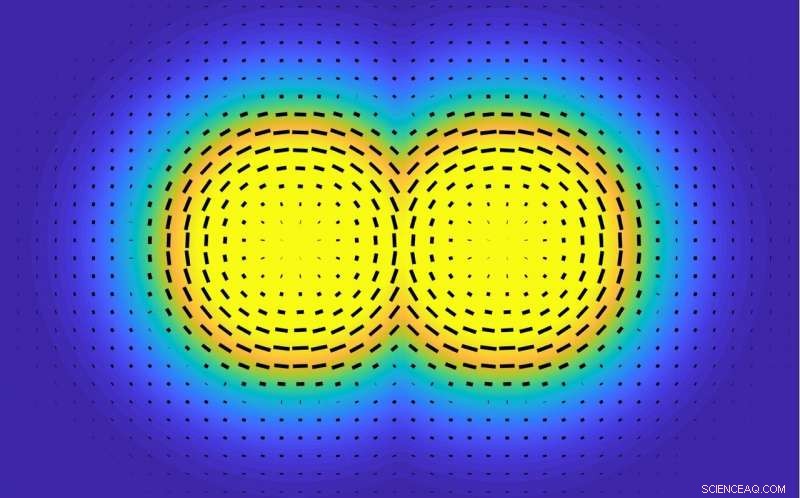 New Mathematical Model Reveals How Aggressive Bacteria Rapidly Form Colonies