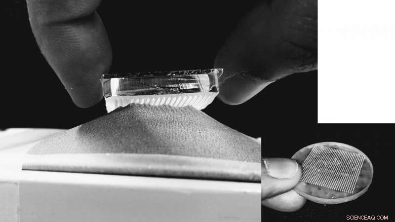 Microscopic Mushroom-Design Fastener Promises Velcro-Level Strength with Quiet, Fabric-Friendly Performance