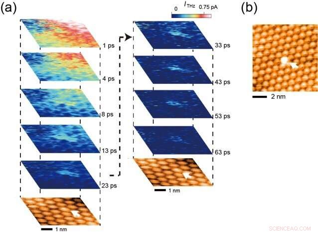 Real-Time Observation of Electron Dynamics in C60 Thin Films