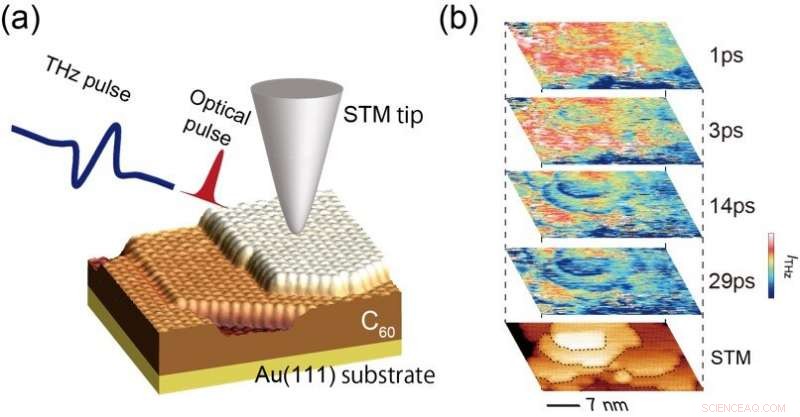Real-Time Observation of Electron Dynamics in C60 Thin Films
