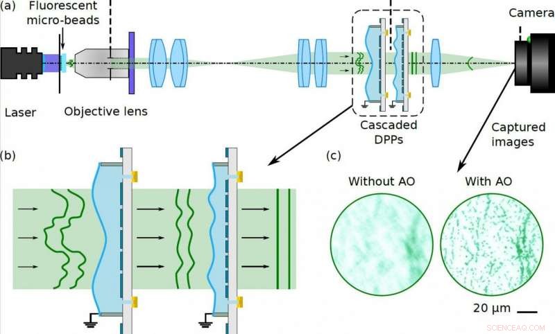 Seamless AO Integration: Cascaded Dual Deformable Phase Plate Modulator for Advanced Microscopy