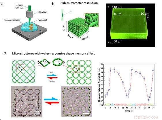 Precision 3‑D Microfabrication of PEGDA Hydrogels via Two‑Photon Polymerization