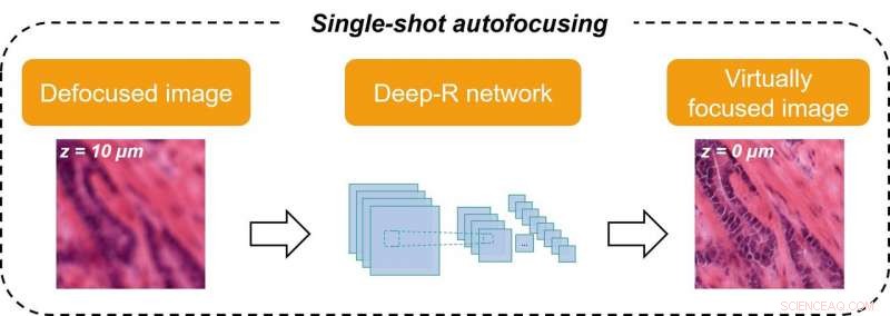 Fast Autofocus for Microscopy Images Powered by Deep Learning