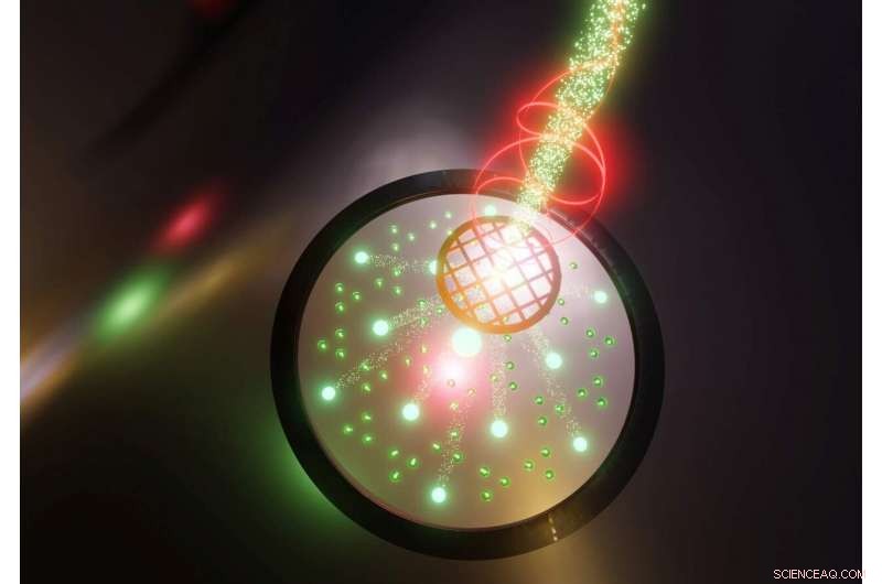 Physicists Capture Phase Transition with Record-Breaking Spatial and Temporal Resolution