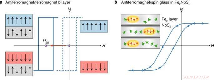 Exchange Bias from Spin-Glass Behavior in Disordered Antiferromagnets