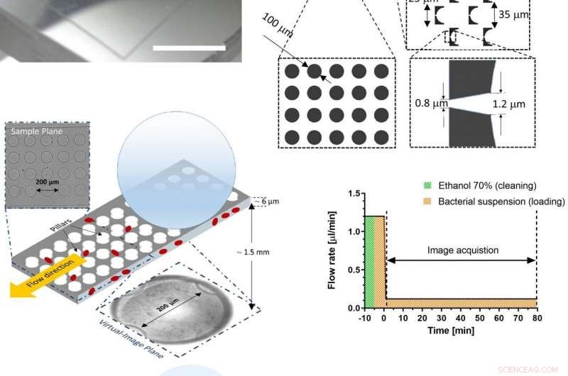 Custom Chip-Based Microscopy Systems Enhance On-Site Pathogen Detection