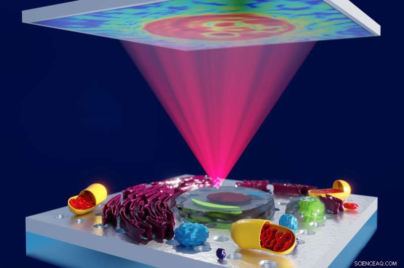 New Imaging Technique Reveals Hidden Structures with Unprecedented Clarity