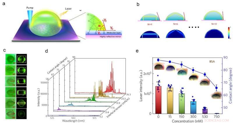 Unveiling the Lasing Mechanism in Water Droplets