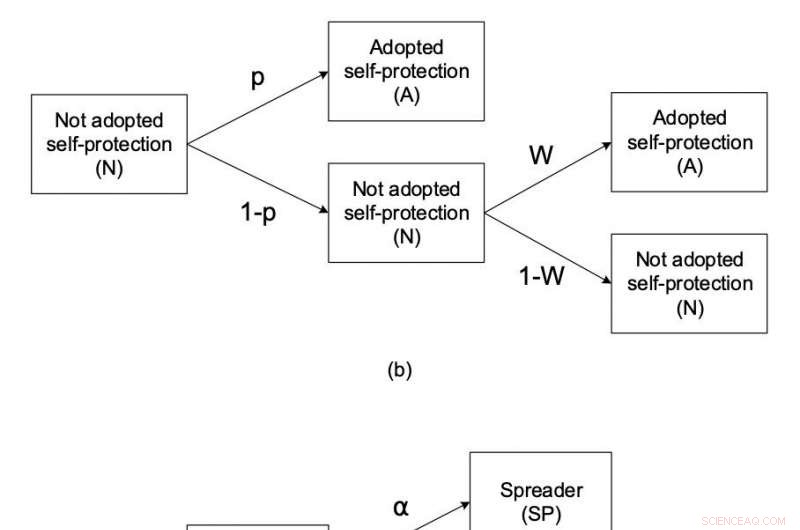 New Mathematical Model Confirms Accurate Assessment of Epidemic Severity