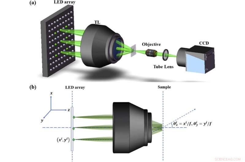 Researchers Achieve Full Field-of-View Reconstruction in Fourier Ptychographic Microscopy