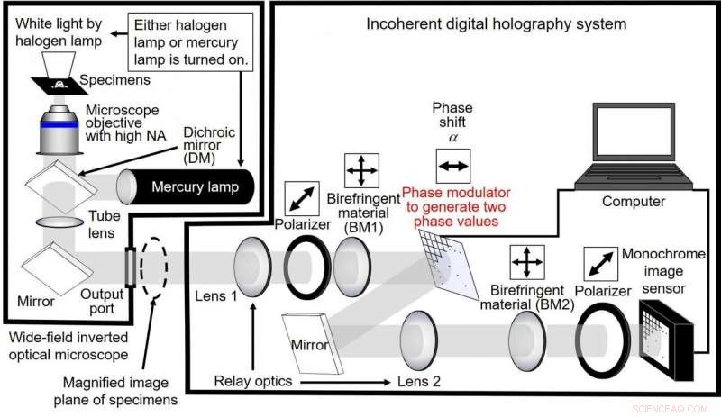 High-Speed, Submicron-Resolution Holographic Fluorescence Microscopy for Scanless 3D Imaging