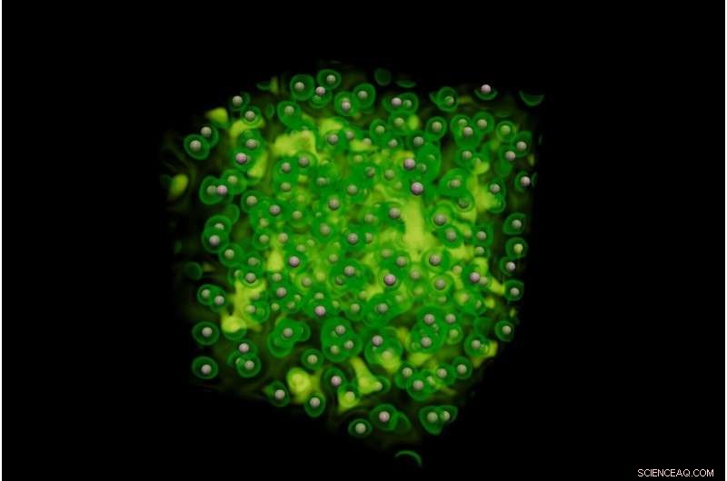 AI-Driven Insights into Warm Dense Matter: Unlocking Planetary Physics