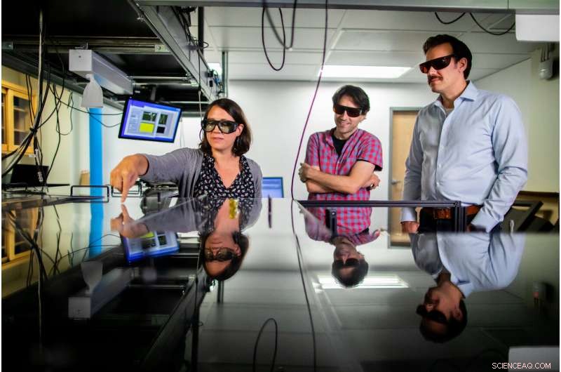 Harnessing Molecular Spin: A New Framework for Controlling Chemical Reactions