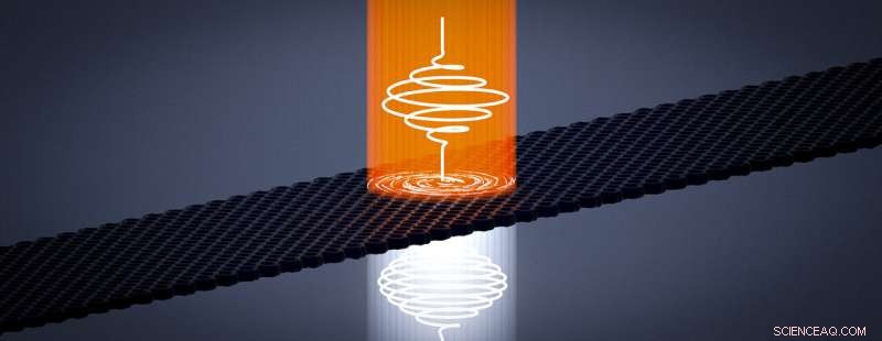 Laser-Driven Probe Uncovers Electron Dynamics in Topological Insulators