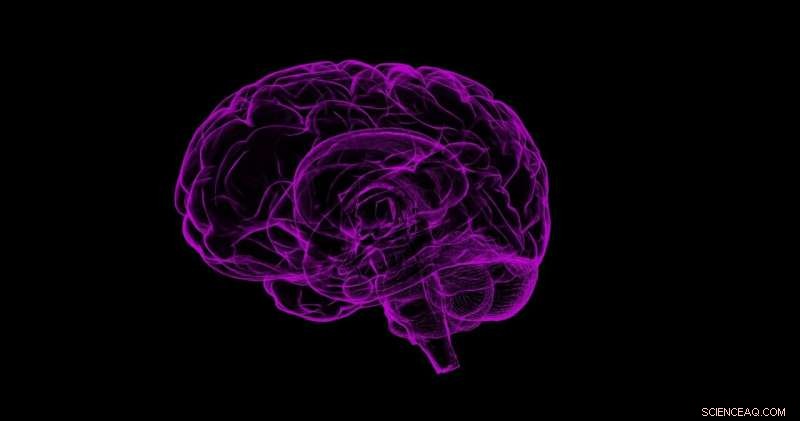 Neuroimaging Insights: Modeling Brain Activity During Pain