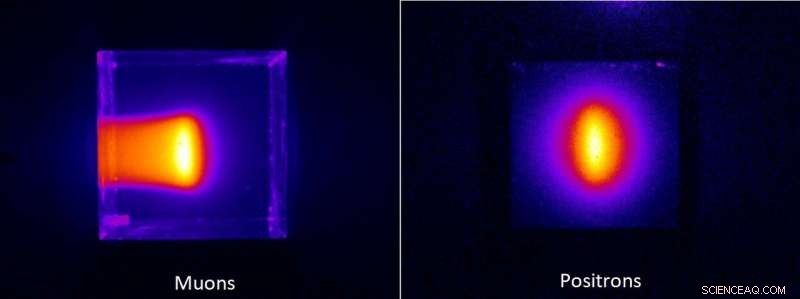 Revealing Muon Beams: First Visual Images Captured