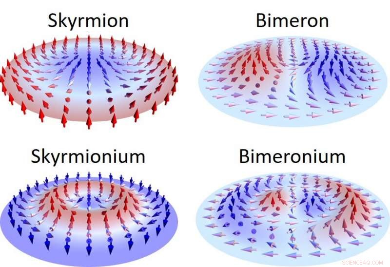 Bimeronium: A Novel Topological Spin Texture with Potential for Advanced Spintronic Applications