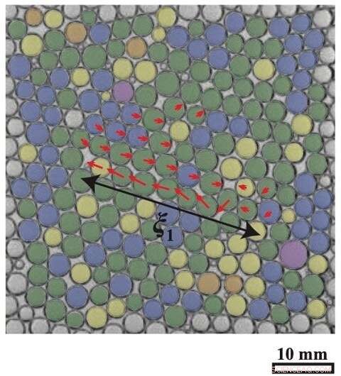 Shifting Bubbles Unveil the Evolution of Liquid Foams