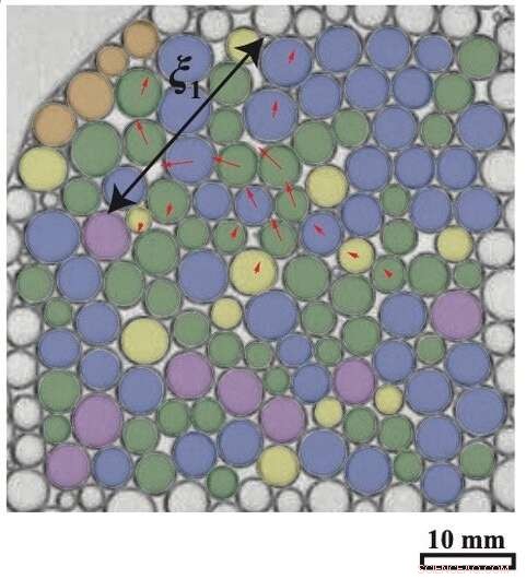 Shifting Bubbles Unveil the Evolution of Liquid Foams