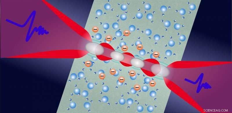 Unveiling Electron Solvation Dynamics in Photoionized Water with THz Spectroscopy