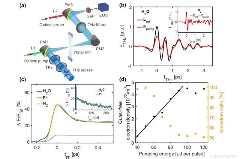 Unveiling Electron Solvation Dynamics in Photoionized Water with THz Spectroscopy