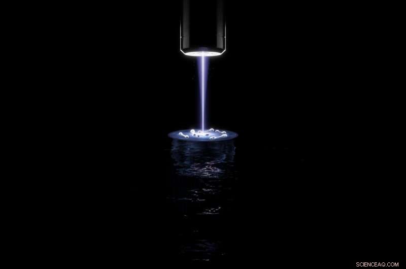 Direct Observation of the Pauli Exclusion Principle in Ultracold Fermi Gases